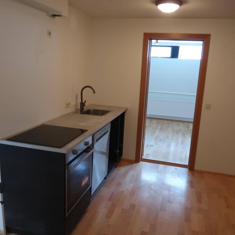 Large Apartment Close To The Centre Рейкявик Екстериор снимка