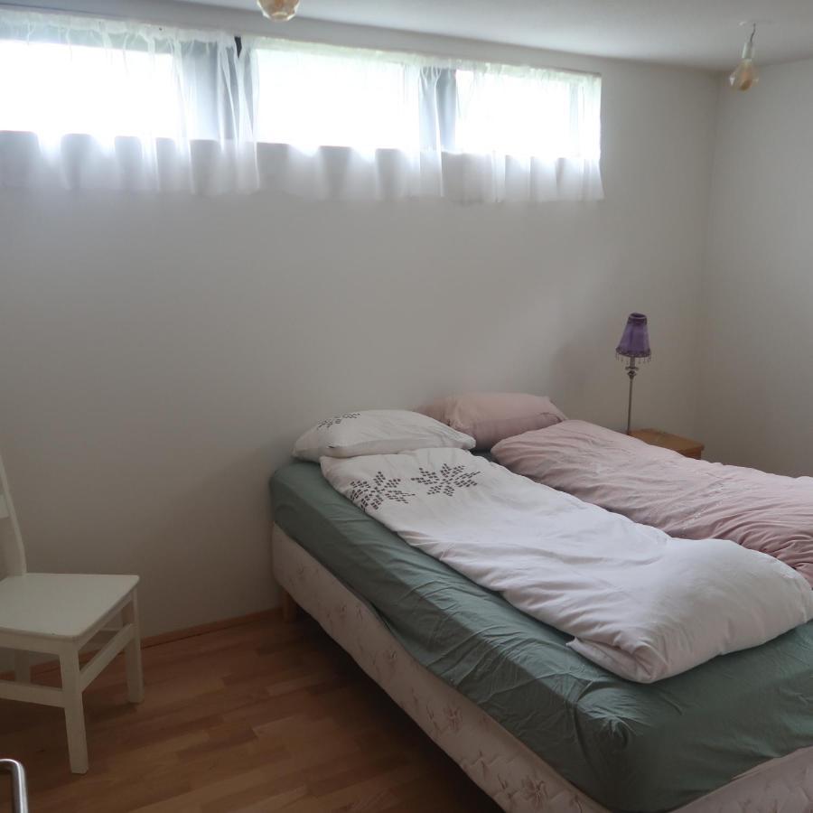 Large Apartment Close To The Centre Рейкявик Екстериор снимка